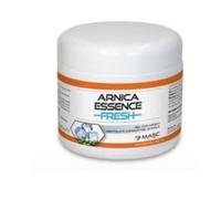 Masc Gel Arnica Essence Fresh 500Ml 056