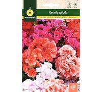 Mascarell Semillas, GERANIO VARIATO, Semi di fiori da esterno per la decorazione, 0,05 Grammi