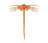 Maschera Alien Facehugger Face Hugger Alien Latex Maske,2024 Nuovo film horror Alien Facehugger Halloween Maske,Maschera realistica copertura del viso per Halloween, accessorio per costume di