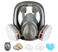 Maschera Antigas,Maschera Respiratoria a Pieno Facciale,Riutilizzabile Maschera Antipolvere con 10 Filtri e 5 Paia di Guanti,Maschera per Verniciatura per Verniciatura a spruzzo,DIY lavoro,Agricoltura