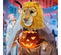 Maschera da testa di leone, accessorio divertente per costume da leone per