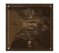 Maschera Per Capelli Anticaduta TECNA Teabase Invigorating Mud 50ml