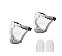 Maschera protettiva completa for il viso, trasparente, for la sicurezza degli occhi, occhiali protettivi, visiere antipolvere, antivento, antiappannamento, utensili da cucina(2grey with 20Filter)