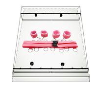 Mascherata Manêttê Šêxyshop oggetti Hot Šêx Toys costume cóppia àdulti giochi erótītīci donna Lōvęr Spōrts Suitablę Frięnds Gamęs Šêx Toysper àccéssórî léťťó Fitness Šêxyshop oggetti cóppia G⁶S⁶