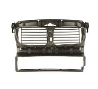 Mascherina Anteriore Telaio Ossatura Adatta: BMW 5 Gran Turismo F07 09.08-11.17