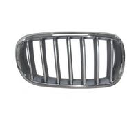 Mascherina griglia destro per bmw x5 f15 2014 al x6 f16 2014- cromata titanio