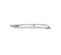 mascherina Per VW Per Phaeton 2011 2012 2013 grigliaauto | Sinistra Destra Paraurti Anteriore Fendinebbia Griglie Lampada Telaio Griglia 3D0853665J 3D0853666J(Silver Left)