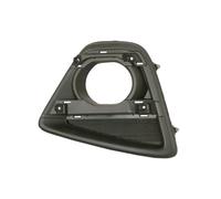 Mascherina radiatore Frontale d. veicolo 6502-07-3495912P BLIC