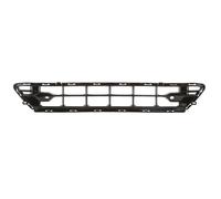 Mascherina radiatore Frontale d. veicolo 6502-07-9058911P BLIC