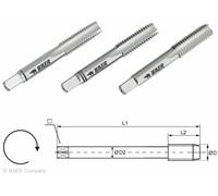 Maschio a Macchina Set Baer Hssg Handgewindebohrer-Sätze M2 - M20 Metrico