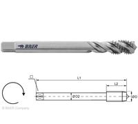 Maschio a Macchina Set Baer Hssg Handgewindebohrer-Sätze M2 - M24 Metrica
