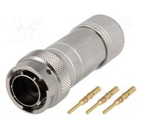 maschio RT360 spina Connettore: rotondi sul conduttore PIN: 3
