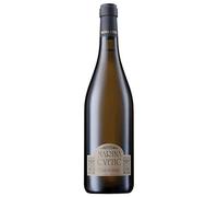 MASCIARELLI Riserva Marina Cvetic Trebbiano d'Abruzzo 2022