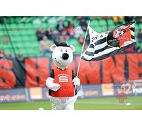 Mascotte REDBROKOLY topo bianco in abbigliamento sportivo