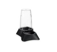 Mascow Mangiatoia Multicolore, Standard