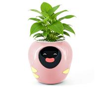 Masdio Plantbot Upgraded Large Smart Flower Pot Pet Planter Robot with Artificial Intelligence, Time Temperature Display and Numerous Expressive Animations Based, for Indoor Decoration, Gifts (Rosa)