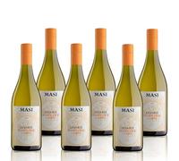 MASI "LEVARìE" 2025 | Soave Classico DOC | 6X750 ml | Confezione 6 bottiglie