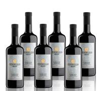 MASI "MODELLO CORVINA" 2024 | Corvina Verona IGT | 750 ml | 6 bottiglie
