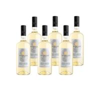 MASI "MODELLO PINOT GRIGIO" 2025 | Pinot Grigio delle Venezie DOC | 750 ml | 6 bottiglie