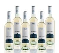 Masi Tupungato "PASSO BLANCO" 2025 | Vino Bianco di Argentina BIO | 6 x 750 ml | Appassimento Expertise | 6 bottiglie