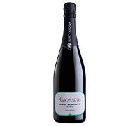 Trento DOC Blanc des Blancs Brut 2021 - Maso Martis 0.75 lt
