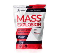 Mass Gainer + Proteine Siero del Latte Whey Protein 20% - 1Kg - Aumento Massa