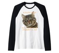 Massachusetts Territory Cat L'affascinante gatto soriano Maglia con Maniche Raglan