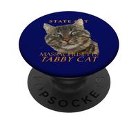 Massachusetts Territory Cat L'affascinante gatto soriano PopSockets PopGrip Adesivo
