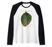 Massachusetts Territory Tree L'olmo americano Maglia con Maniche Raglan