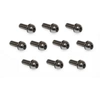 MASSI Pack 10 viti per portaborraccia M5X12MM
