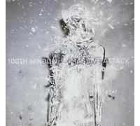 Massive Attack - 100th Windows