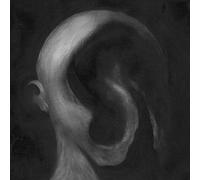 Mastelotto Pat - Face