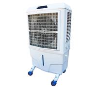 Raffrescatore ad acqua evaporativo Master BC 80