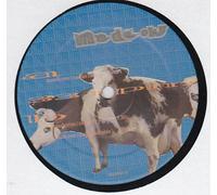 Master Factory Sound System - Mad Cow