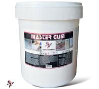 MASTER-GUM Guaina Liquida Impermeabilizzante Colorata Pedonabile