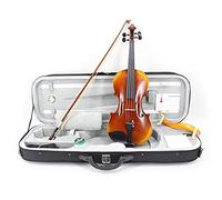 Master Handmade Antico Violino Naturale Naturalmente Essiccato A 30 Anni European Imported A Strisce Acero Violino Personalizzato 4/4 violino principianti