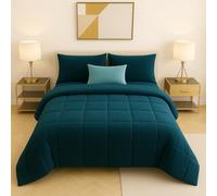 Master House Trapunta Piumone Matrimoniale Singola Piazza 1/2 in Morbido e Caldo Velluto per Camera da Letto Elegante e Confortevole (Ottanio, Piazza & Mezza 220x260cm)