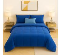 Master House Trapunta Piumone Matrimoniale Singola Piazza 1/2 in Morbido e Caldo Velluto per Camera da Letto Elegante e Confortevole (Blu cobalto, Matrimoniale 260x265 cm)