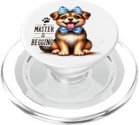 Master Of Begging Puppy - Fiocco blu PopSockets PopGrip per MagSafe