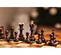 Master of Chess Scacchiera in Legno “SENATOR DELUXE” 41 cm - Fatto a Mano Grandi Scacchiera Portatile - Set di Scacchi Pieghevoli per Bambini e Adulti - Ornamenti Bruciati