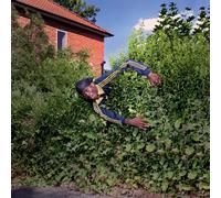 Master Peace How to Make a Master Peace (Vinyl LP)