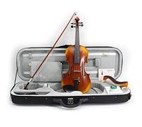 Master Personalizzato Antico Violino Antico Di Fascia Alta Taglia 4/4 Violini Professionali 25 Anni Asciugatura Naturale Abete Rosso Fiammato Acero violino principianti