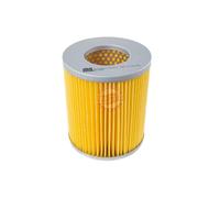 MASTER-SPORT Filtro aria