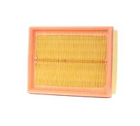 MASTER-SPORT 1955-2-LF-PCS-MS Filtro aria