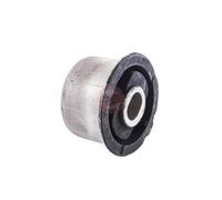 MASTER-SPORT 35316-PCS-MS Supporto, Supporto assale