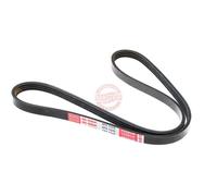 MASTER-SPORT 4PK1045-PCS-MS Cinghia servizi