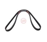 MASTER-SPORT 4PK1090-PCS-MS Cinghia servizi