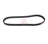 MASTER-SPORT 4PK715-PCS-MS Cinghia servizi