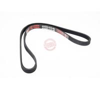 MASTER-SPORT 4PK895-PCS-MS Cinghia servizi