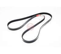 MASTER-SPORT 5PK1635-PCS-MS Cinghia servizi